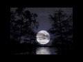 Dancer In The Dark