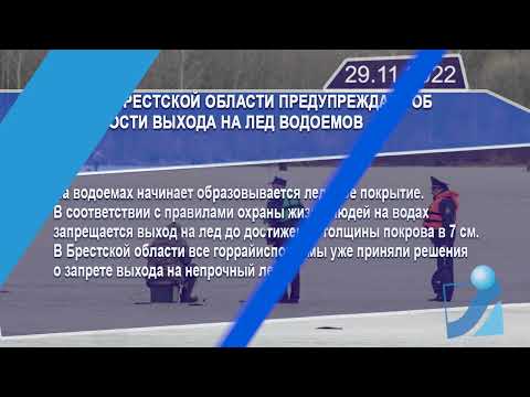 Новостная лента Телеканала Интекс 29.11.22.