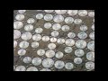 videos de Magic Tree Mandala ~ Prashant Trivedi