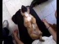 Estrelinha dorminhoca :)