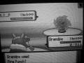 videos de EPIC Pokemon Wifi Battle #14: KingQuilfishy vs. Farmer16