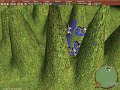 Age of Empires 3: Screenies
