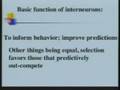 Part 1 - The Open Questions In Neuroscience