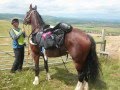 100 mile South Downs Horse Ride - YouTube
