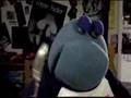 FurTV - Arse of Darkness - Part 1/2