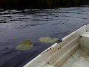 pike fishing in norway