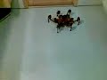 Lynxmotion Phoenix hexapod
