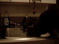 Cat Drinking from Sink