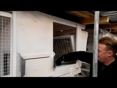 0 Видео кролиководов