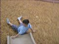 Dalan slips