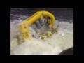Penobscot End of the Year Carnage
