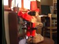watch more of rob the robot's reviews at: gotgame.com this is it! the final count down! rob the robot will get his revenge in duck hunt for the nintendo entertainment system. (part of the black box series 3/3). episode: 10 note: video quality will depend on your computers specs. if you dont have the latest flash player installed then the quality will be poor.