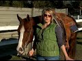 How to Mount & Dismount a Horse : Safety When Mounting & Dismounting a Horse
