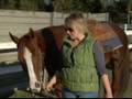 How to Mount & Dismount a Horse : Safety When Mounting & Dismounting a Horse