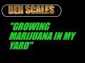2007 Mass Cann/NORML Awards Promo 4.0