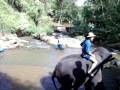 videos de 100 0164