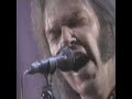 neil young and pearl jam