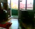 Video from My Phone (Video001.3gp) for June 07, 2007, 11:30 AM