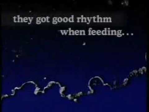 Barnacle Sex Music Video