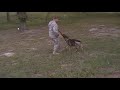 MOV033