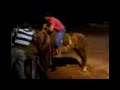 gaucho