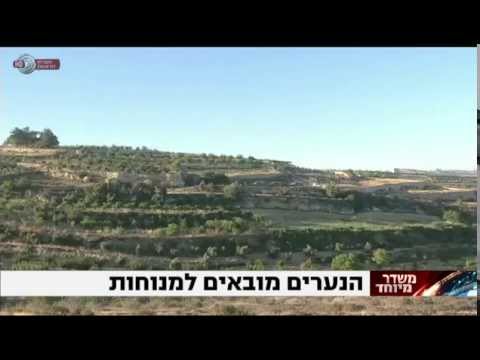 עמיתים - עמית אררט - מרכז המיזם הציוני -