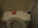 AMLS CRIBS