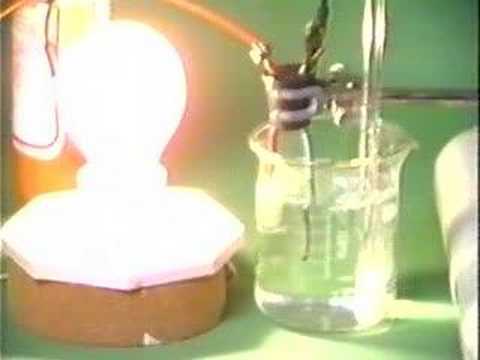 Electrolytes