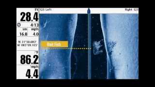 ABC White Polyester Static Rope 3/8'' X 600' - Rescue/Abrasion Resistance