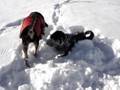 videos de Schnee 2008 Teil 2