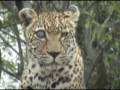 Magical SOUTH AFRICA (part 3)