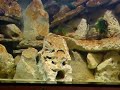 DSCF2465