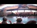 videos de PERFORMANCE TORMENTA DESTROYER vcd
