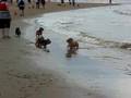 Strandwandeling Norwich club