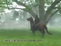 brattonsville-civil-war-reenactment-oct-2728-2007.html