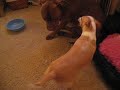 KARMA & PEDRO PART 1 KARMA & PEDRO PART 1