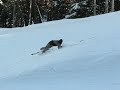 Powder Mountain, UT skiing Powder Mountain, UT skiing