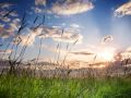 Solarstone & Alucard Late Summer Fields Video and Lyrics