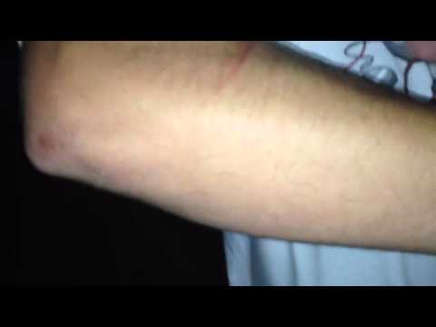 School number 4 Jacksonville florida - YouTube