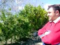 aksaray-68-acemli-ne