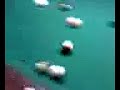 gypsy playing pool gypsy playing pool
