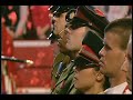 Remembrance Poppies