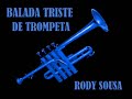 video de RODY SOUSA CANTANTE ANIMADOR, Cantantes de Sevilla