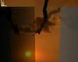 Proxy 3D - Ragdolls