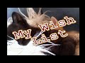 My Wish List