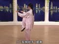 taichi 24 forms part 5 a