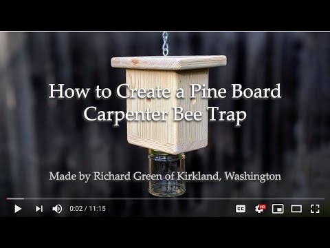 image preview of video showcasing Video Guide: How to Make a Carpenter Bee Catcher Trap