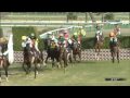 2009年 中山大障害（Ｊ・ＧⅠ） キングジョイ