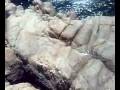 TUFFO DALLA SCOGLIERA