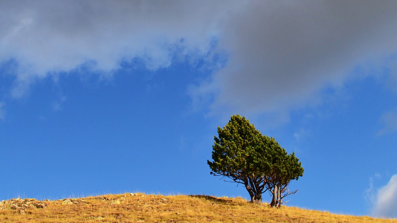 Ernesto Cortazar. One more day.